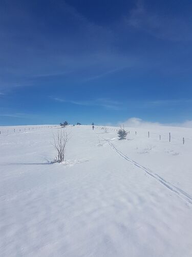 photo_2026-02-23 23.37.03