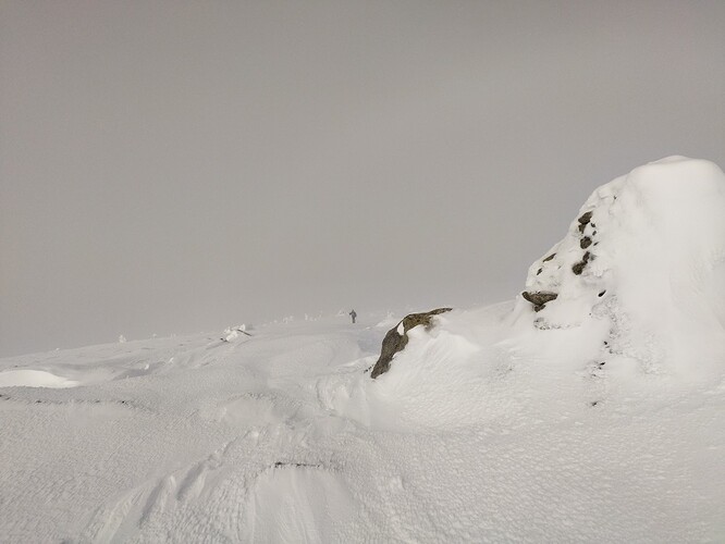 IMG_20260201_105903583