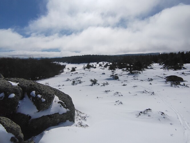 IMG_20260221_122733463