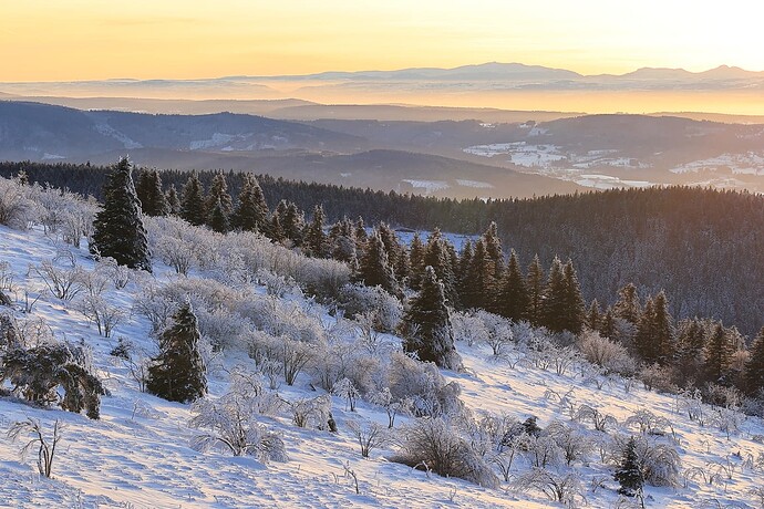 CantalForez4_11012025_JCCorbelbd