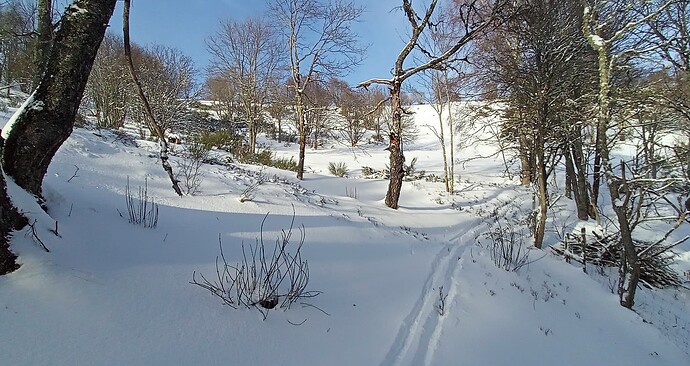 IMG_20260111_153347_587 - Copie