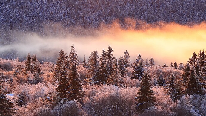 BrumeBeal5_11012025_JCCorbelbd