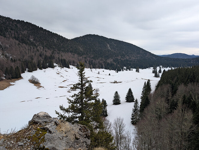 plaine-d'herbouilly